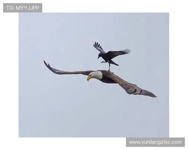 《地心引力》2024年新解说：这4大震撼场面，原来是这样拍出来的！